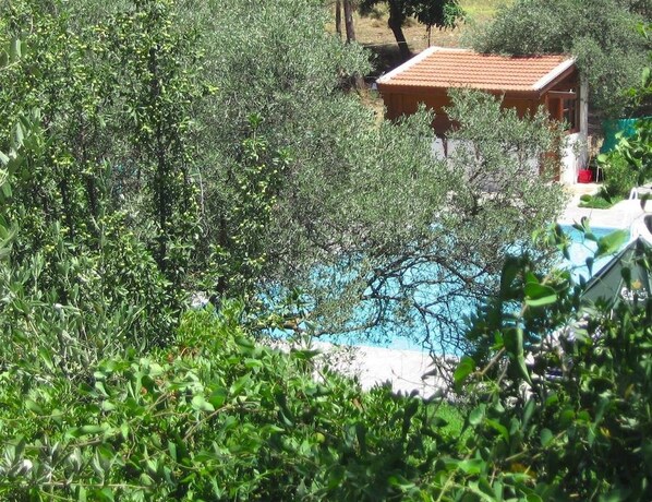 Garden - Layia Bungalow (Lageia)