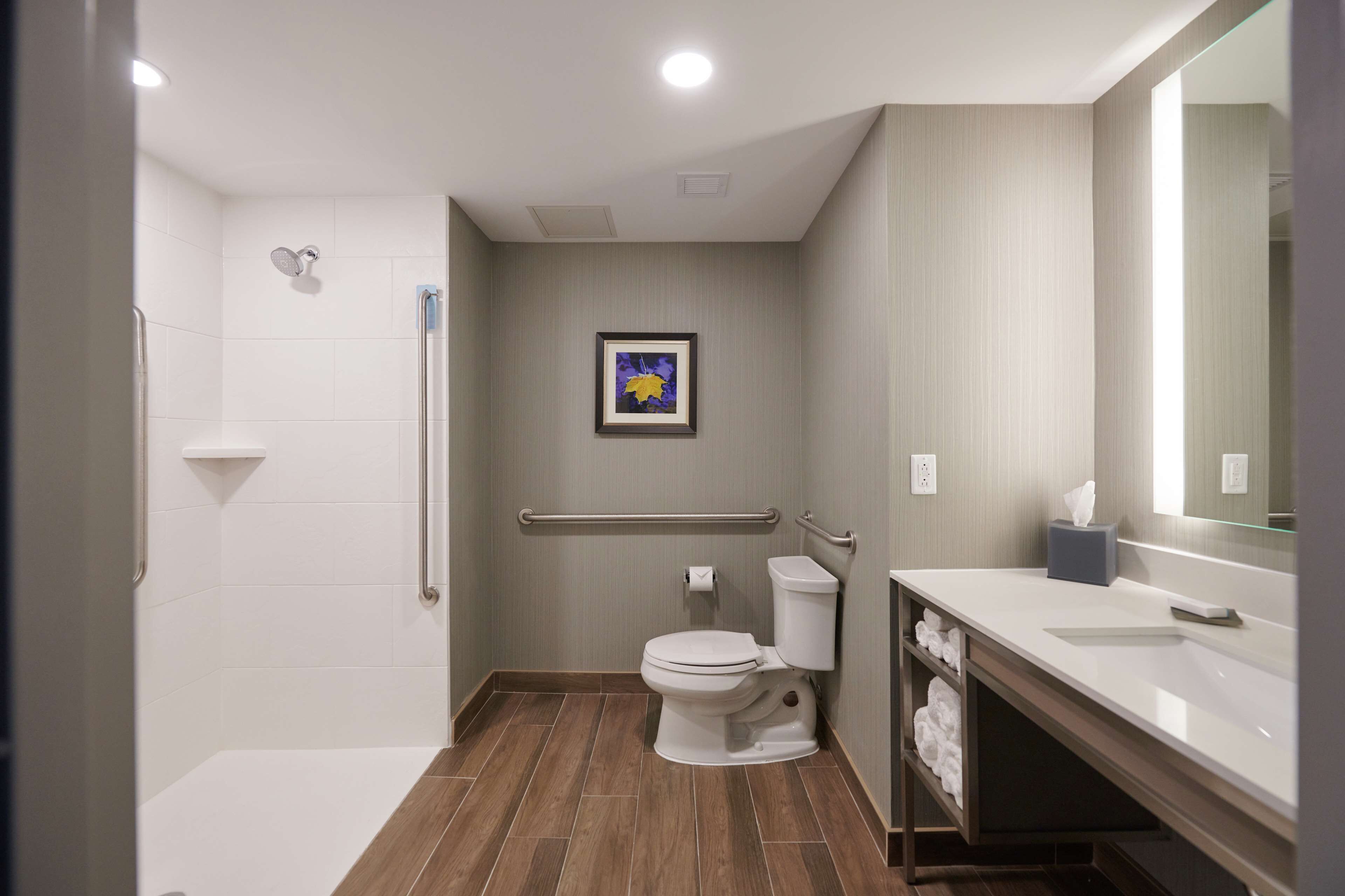 room, 1 king bed, accessible (roll-in shower) | bathroom shower