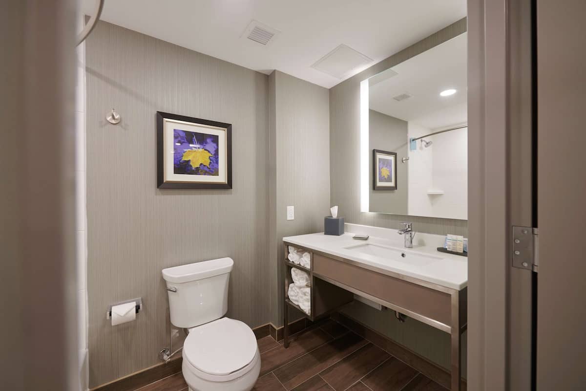 free toiletries, hair dryer, towels