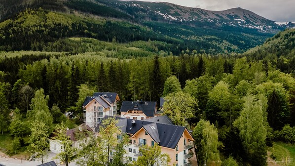 A residential area with multiple houses surrounded by dense forests and mountains in the background. - Green Apartments (Karpacz)