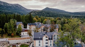 A residential area with modern houses, a stone retaining wall, and a forested mountain backdrop. - Green Apartments (Karpacz)