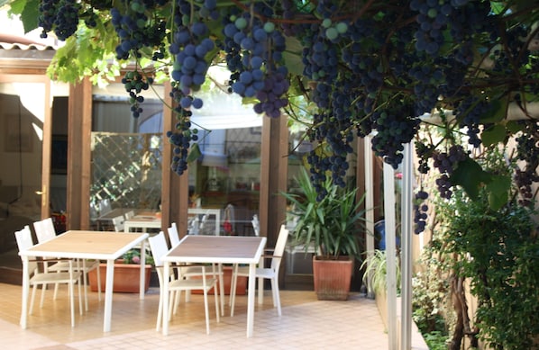 Terraço/pátio