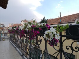 A balcony with metal railings and flower planters.