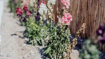 Jardin