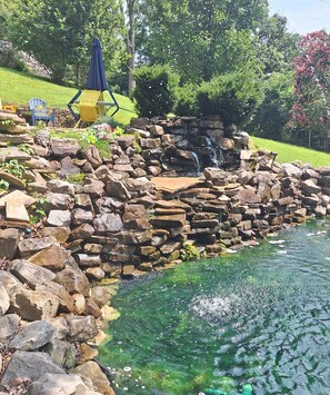Property grounds - Private country hillside setting surrounded by trees, birds, wildlife pond/falls (Nashville)