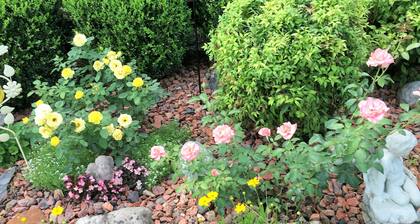 Private country hillside setting surrounded by trees, birds, wildlife pond/falls