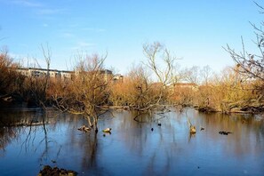 A body of water with reflections of trees and buildings, surrounded by bare branches. - Fabulous Apartment near Edinburgh Center (Edinburgh)