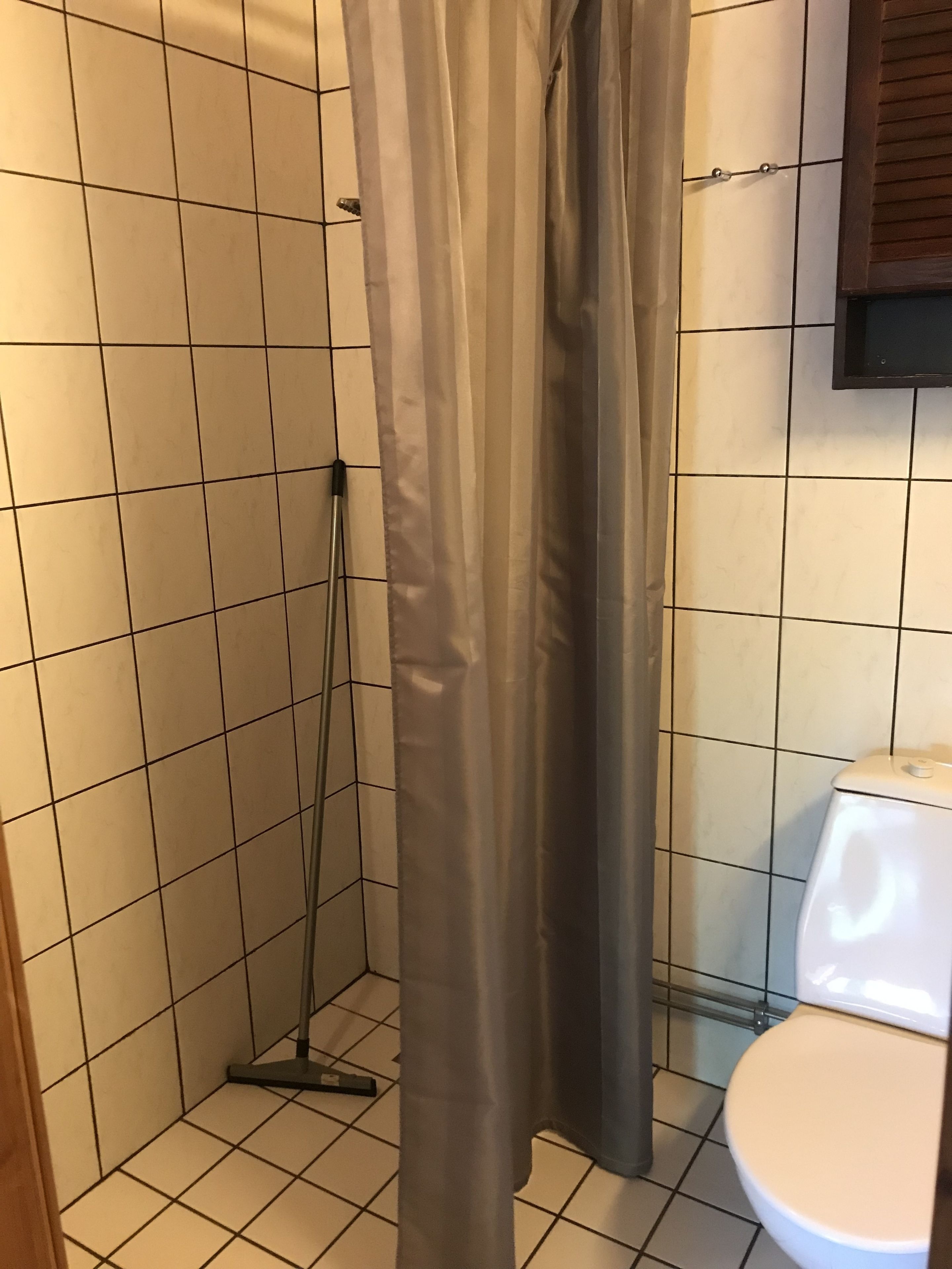 Une salle de bain avec une douche, des toilettes et un balai appuyé contre le mur.