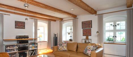 TV connectée, cheminée, Netflix, livres