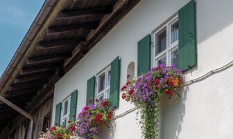 Um edifício com paredes brancas e persianas verdes, com caixas de flores contendo flores vermelhas e roxas.