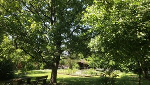 Basic Apartment, Terrace, Ground Floor (Ferienwohnung 2) | Garden view - Ferienwohnungen Birner (Herrsching am Ammersee)