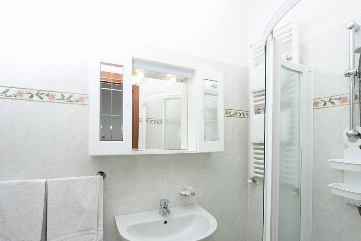 Hair dryer, bidet, towels