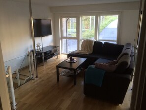 Flat-screen TV