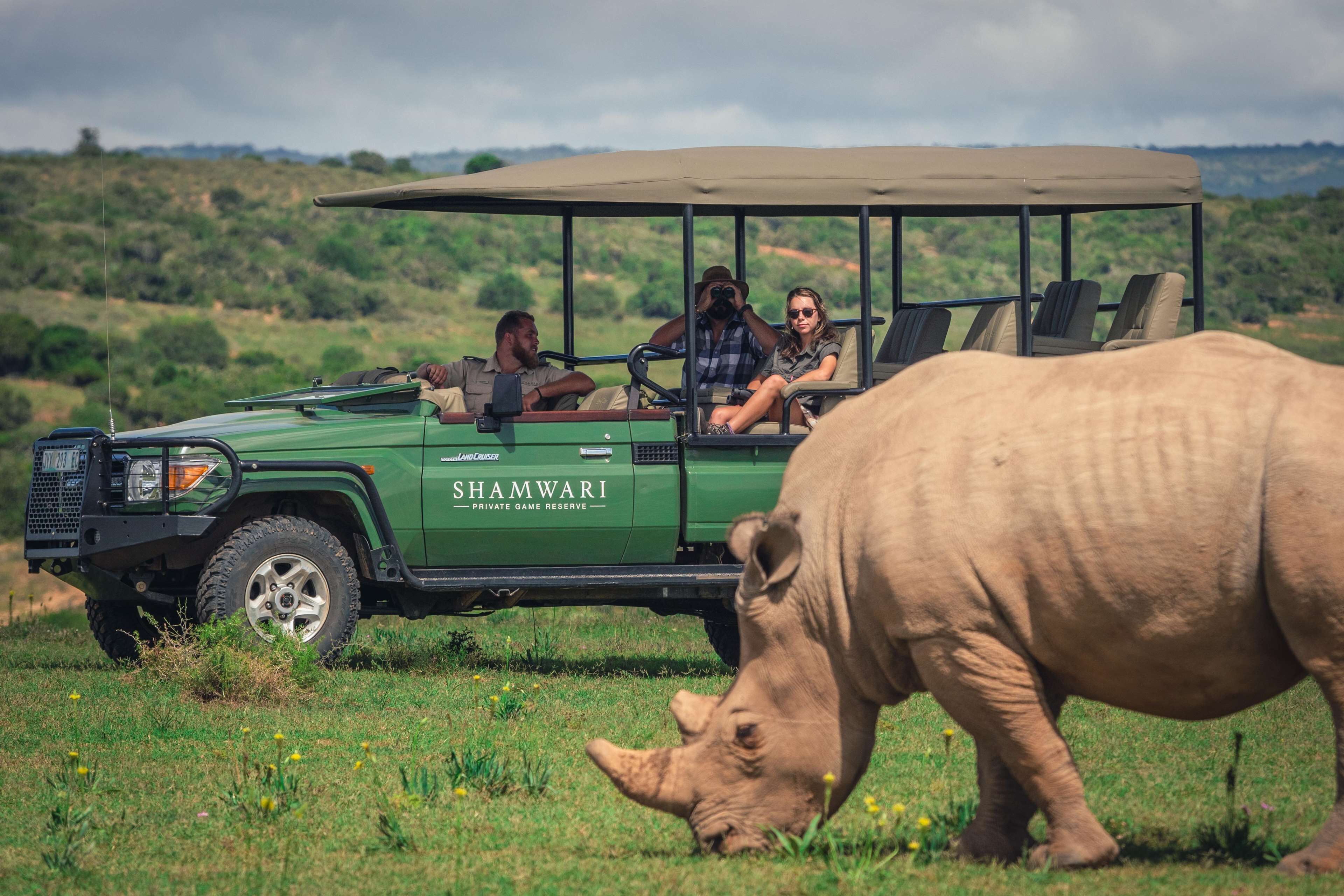 A safari vehicle with passengers observing wildlife.