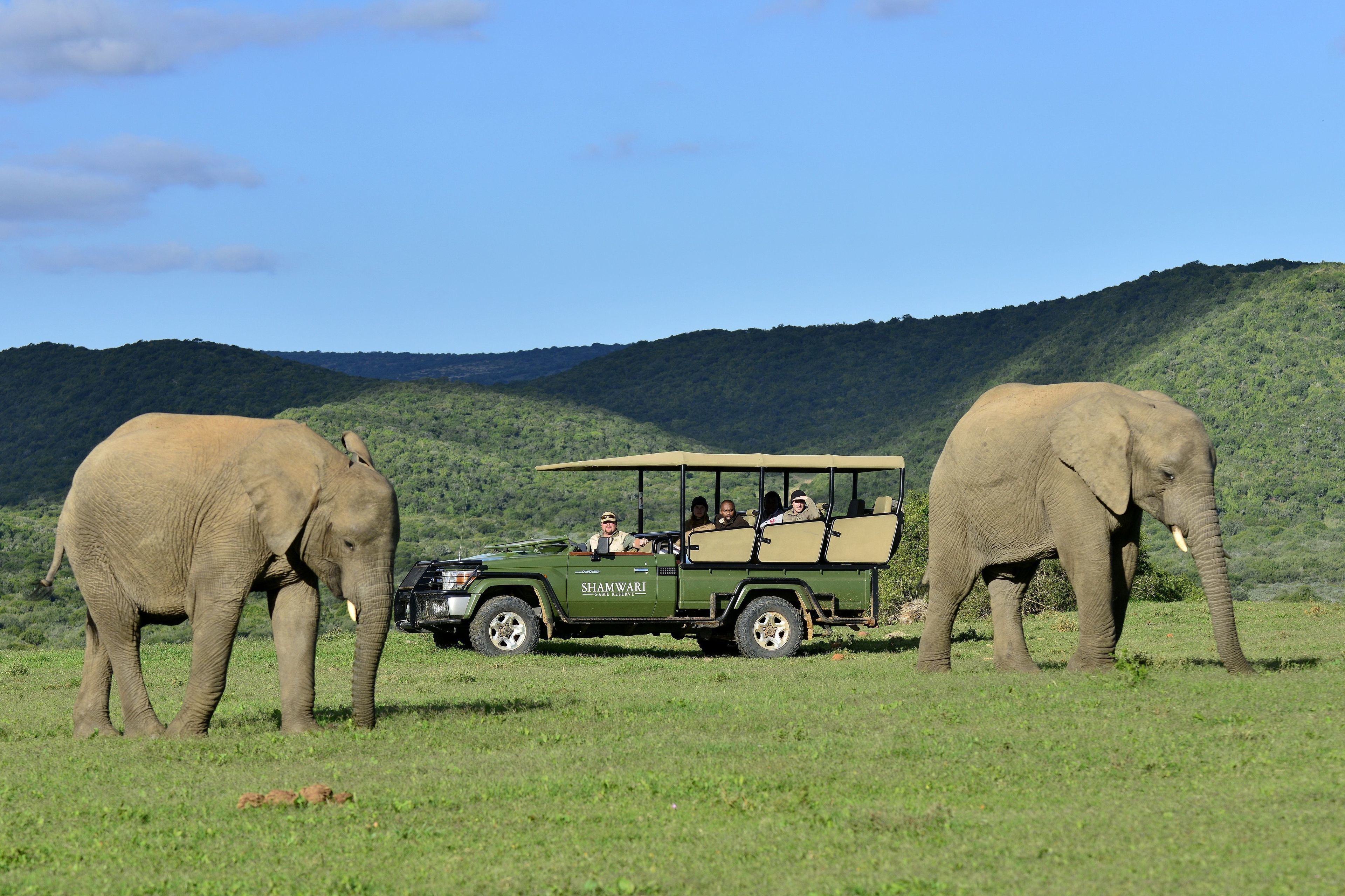 A safari vehicle with passengers and two elephants in a grassy field with hills in the background.