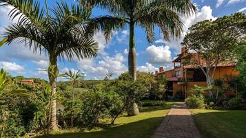A pathway leading to a building surrounded by lush greenery and palm trees.