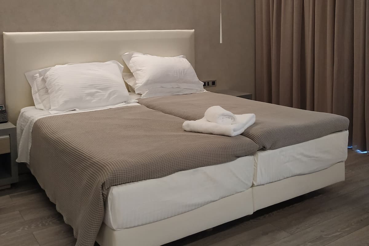 Deluxe Twin Room, Accessible | 1 bedroom, premium bedding, in-room safe, blackout drapes