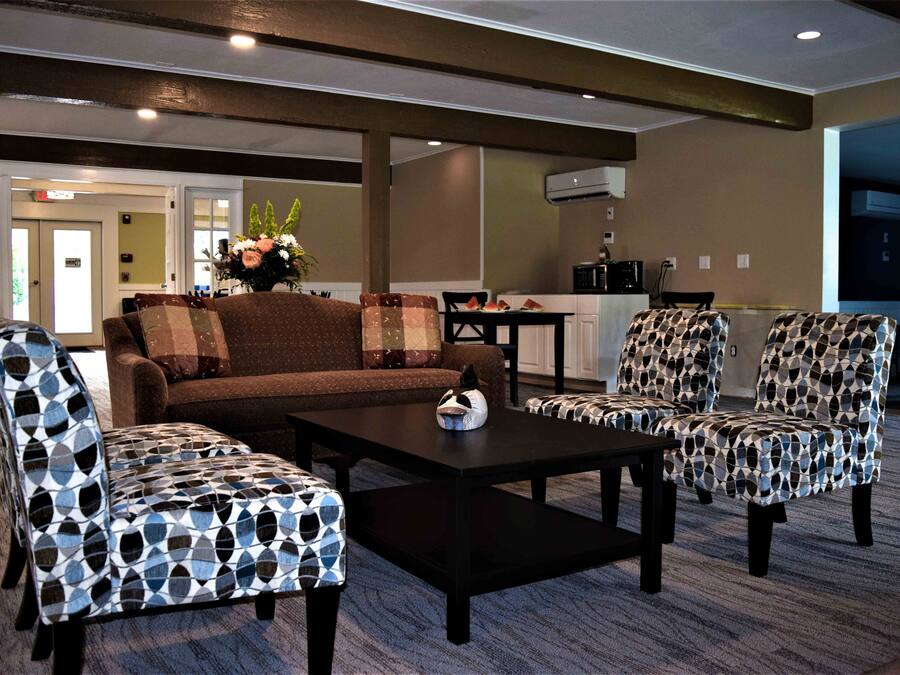 A modern living room with a brown sofa, patterned armchairs, and a coffee table.