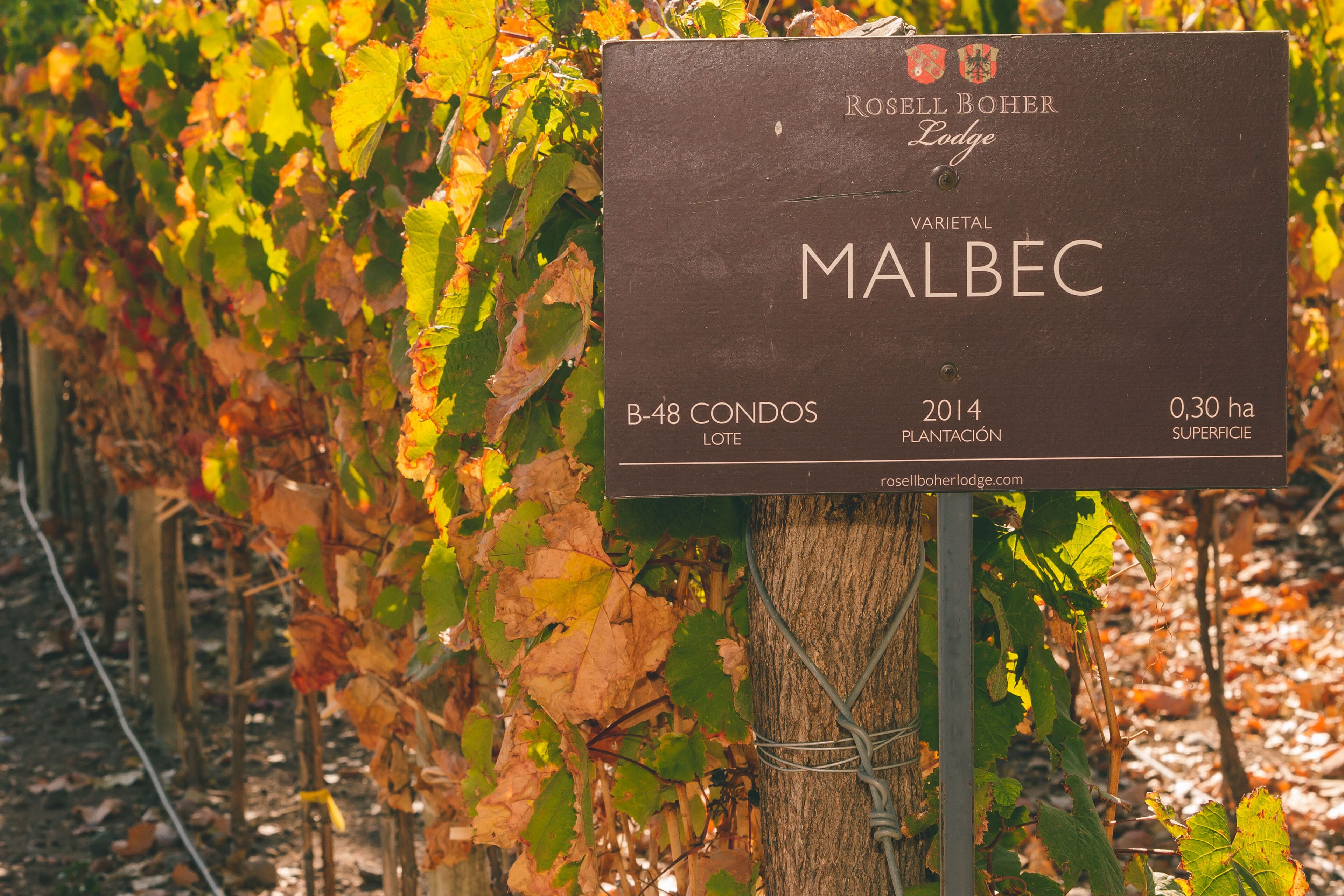 Letrero que indica 'Rosell Boher Lodge', con mención a vino 'Malbec', 'B-48 Condos', '2014 Plantation' y '0.30 ha Superficie'.