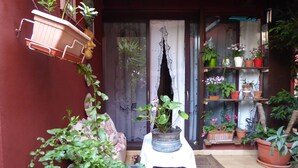 Un pequeño patio con una mesa, plantas en macetas y una jardinera colgante.
