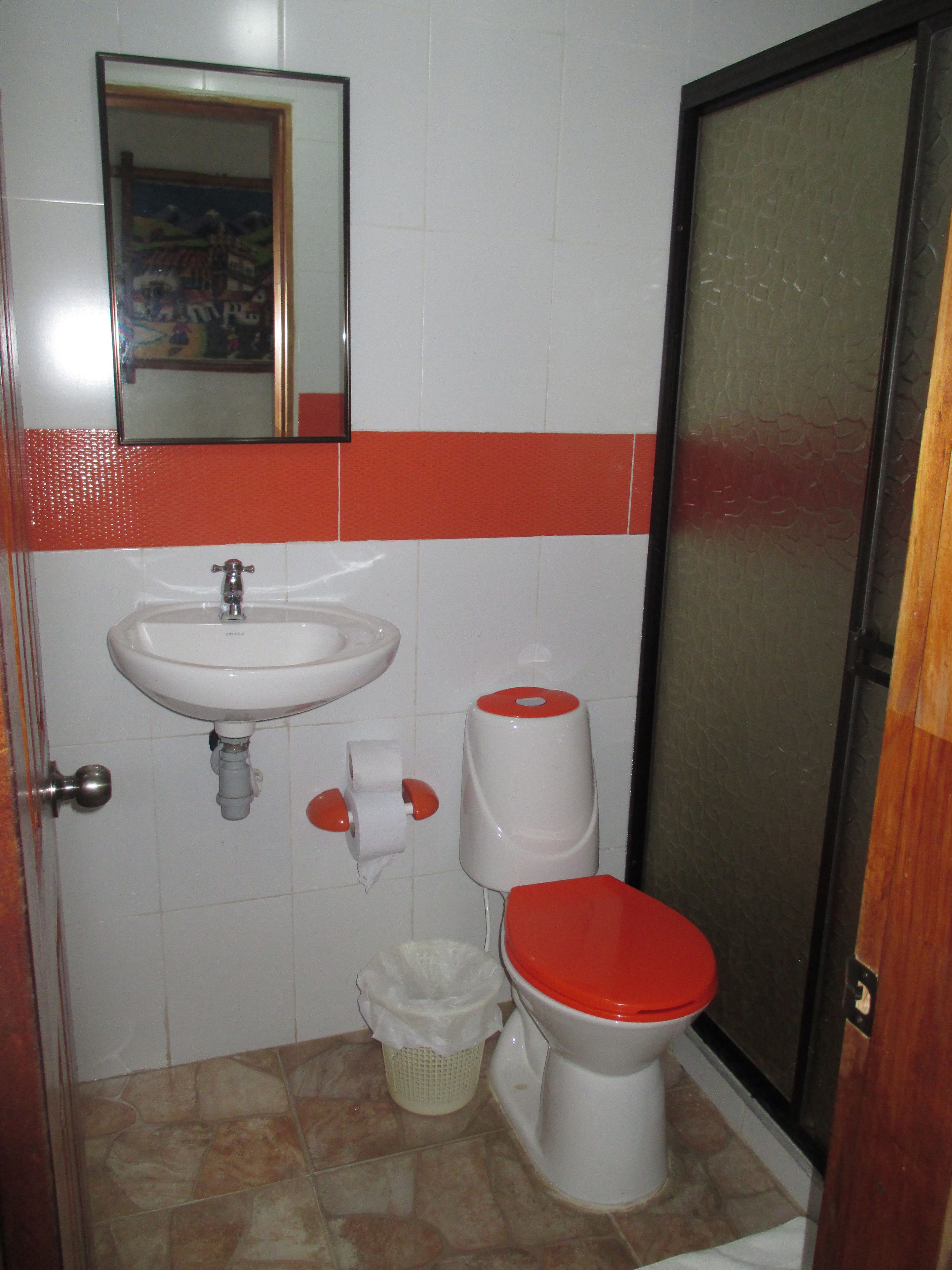 standard room, mountain view | bathroom | shower, towels