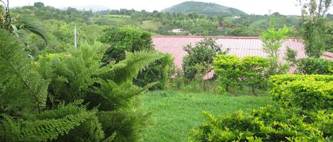 Un paisaje exuberante y verde con un edificio de techo rojo al fondo.