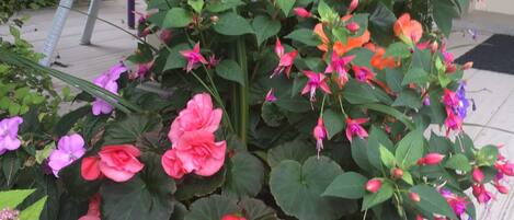 Un jardín con diversas plantas florecientes, una silla de mimbre y un edificio al fondo.