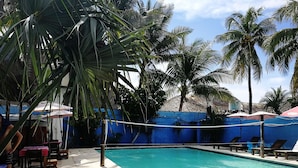Una piscina con sillas de descanso y sombrillas, rodeada de palmeras y un muro azul.