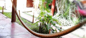 Hotel el Delfin