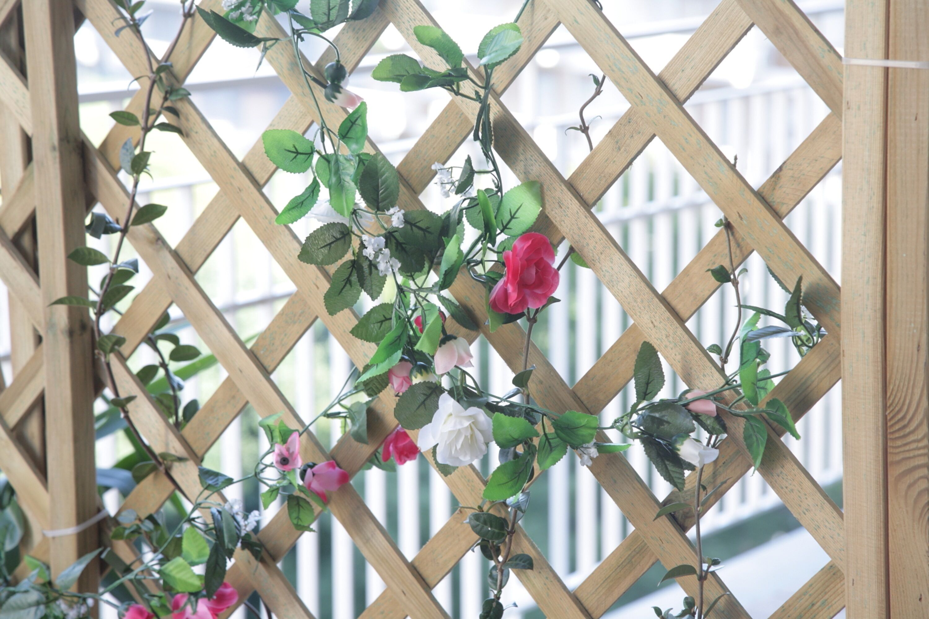 Foto - Etna Sea House