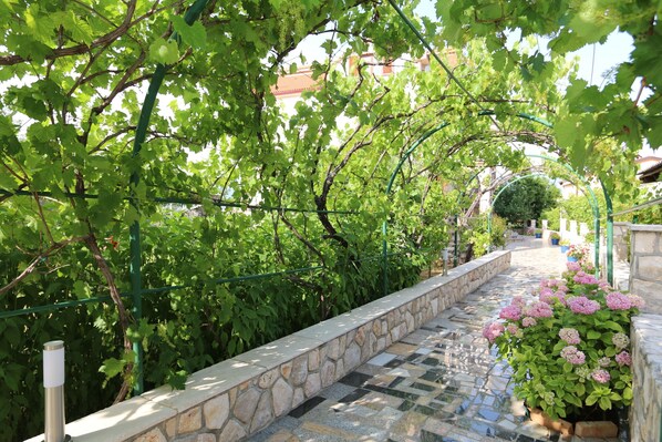 Área da propriedade