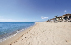 En strand med klar himmel, en sandstrand och en rad strandparasoller och solstolar.