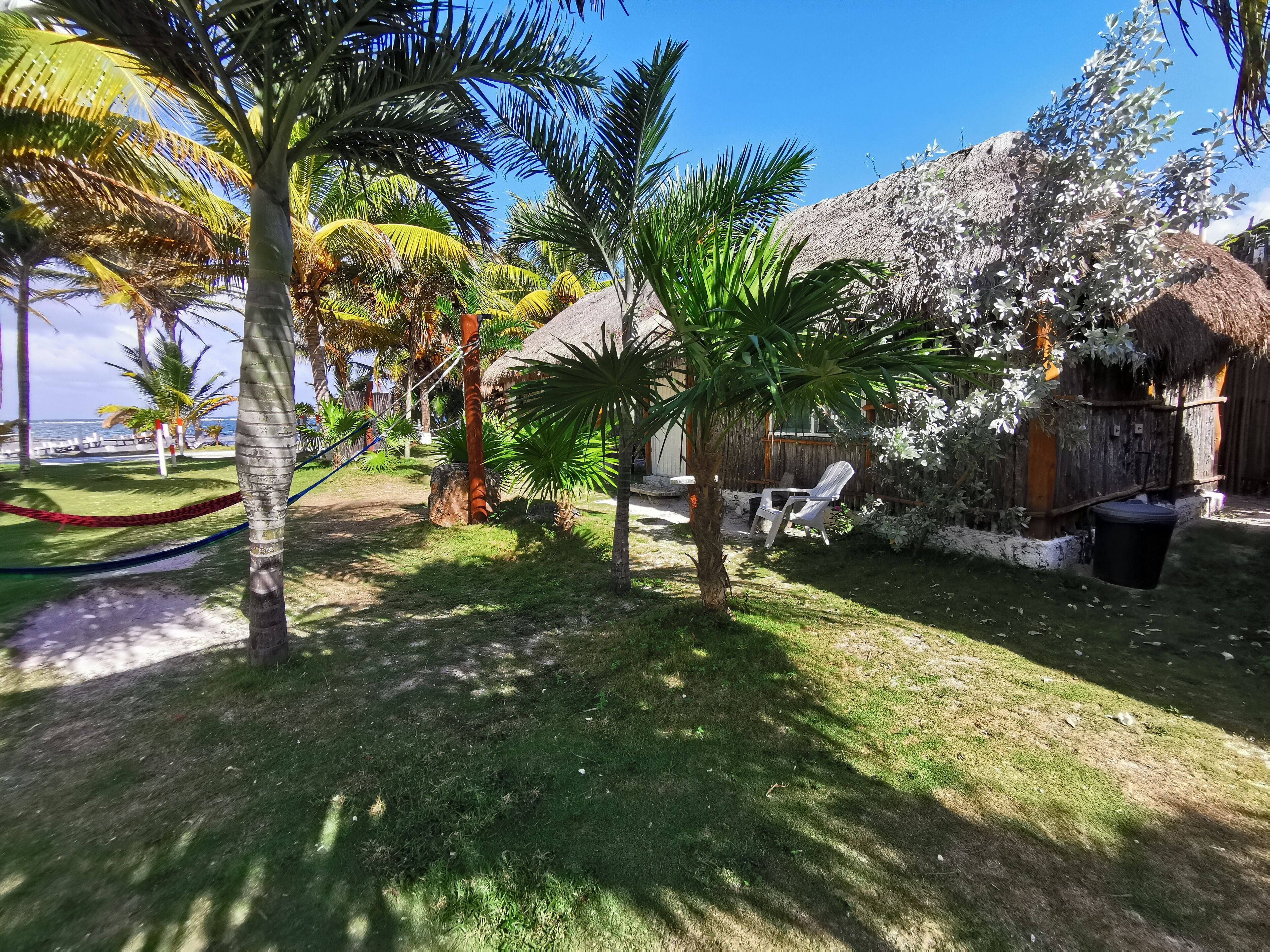 Un jardín tropical con palmeras, una estructura de techo de paja y una silla blanca.