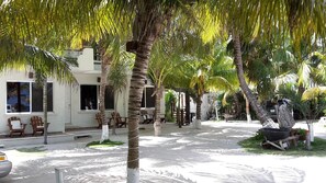 Property grounds - Las Cabañas Del Doctor (Mahahual)