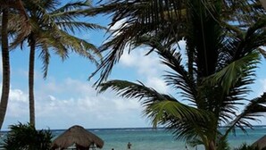 Una spiaggia con palme, un ombrellone di paglia e una riva sabbiosa.