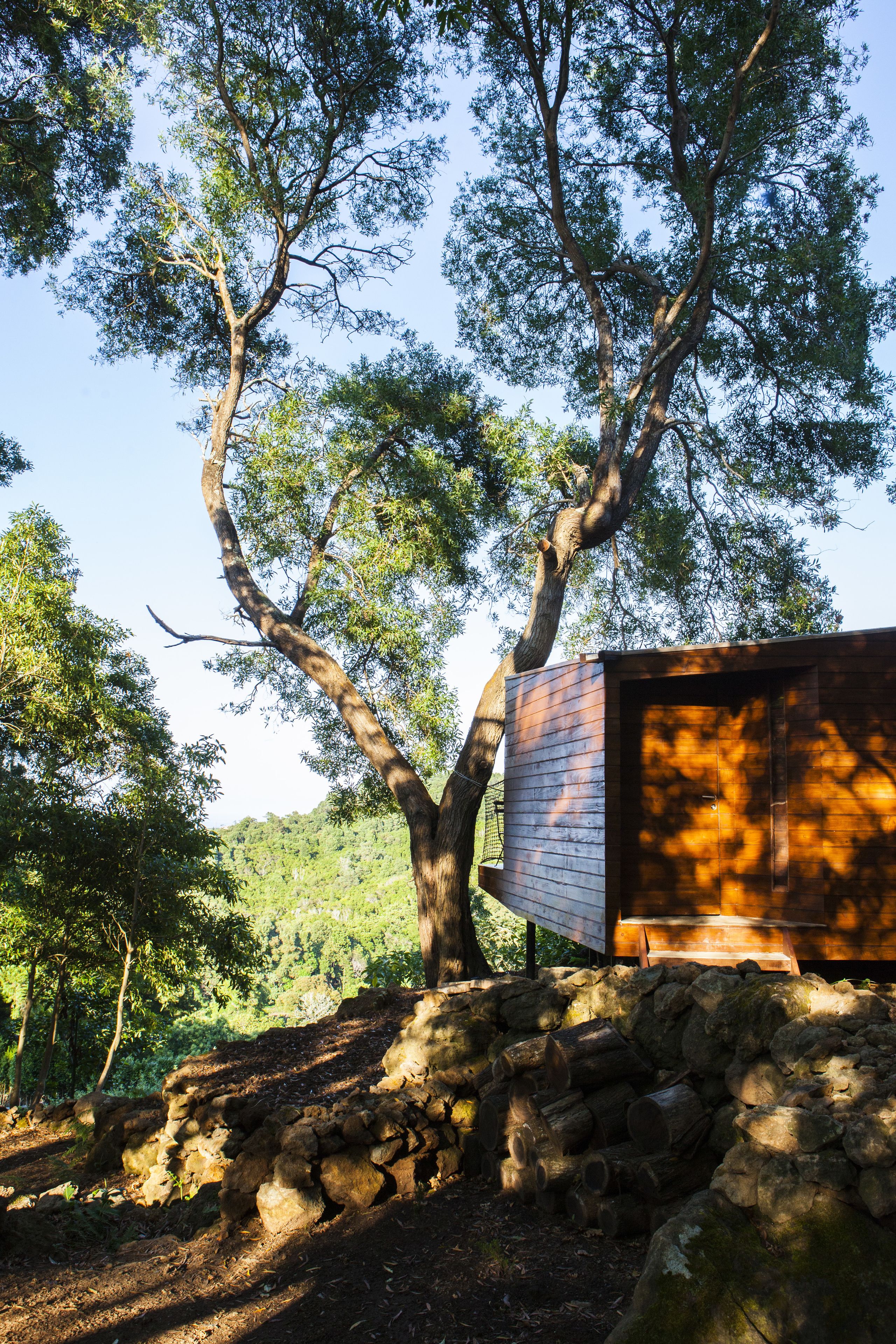 Foto - Caparica Azores Ecolodge