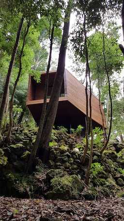 设计小屋, 花园景观 | 特色装修、办公桌、笔记本电脑工作区、遮光窗帘