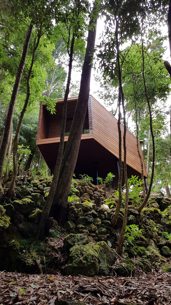 Design Cabin, Garden View