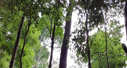 Caparica Azores Ecolodge