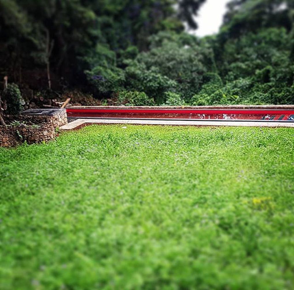 Un área cubierta de césped con una barrera roja y blanca, rodeada de abundante vegetación.