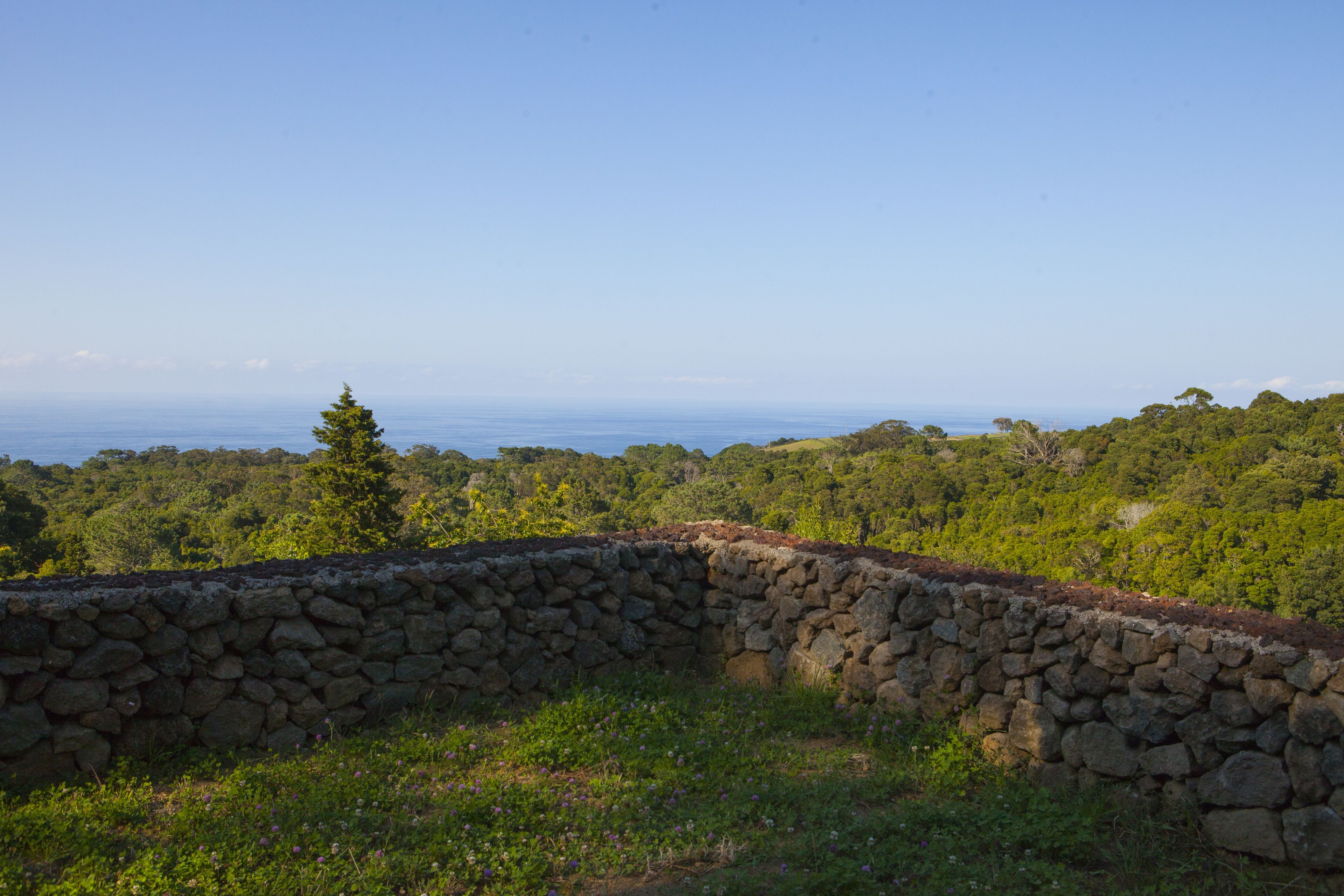 Foto - Caparica Azores Ecolodge