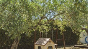 A small wooden playhouse with a sloped roof and an arched entrance, surrounded by trees and gravel. - Cubo's Casa La Dehesilla High Privacy and Pool  / Private pool / free wifi (Alhaurín el Grande)