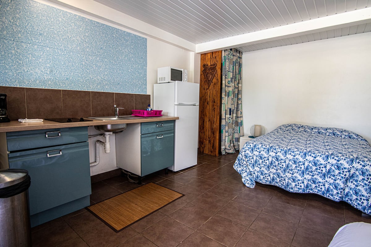 Suite estudio clásica, 1 cama matrimonial y sofá cama, con acceso para personas discapacitadas | 1 habitación, tabla de planchar con plancha, wifi gratis y ropa de cama