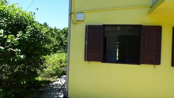 Edifici groc amb una finestra i una porta, envoltat de vegetació.