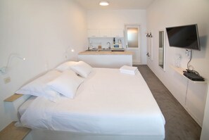 1 chambre, système d’insonorisation, fer et planche à repasser