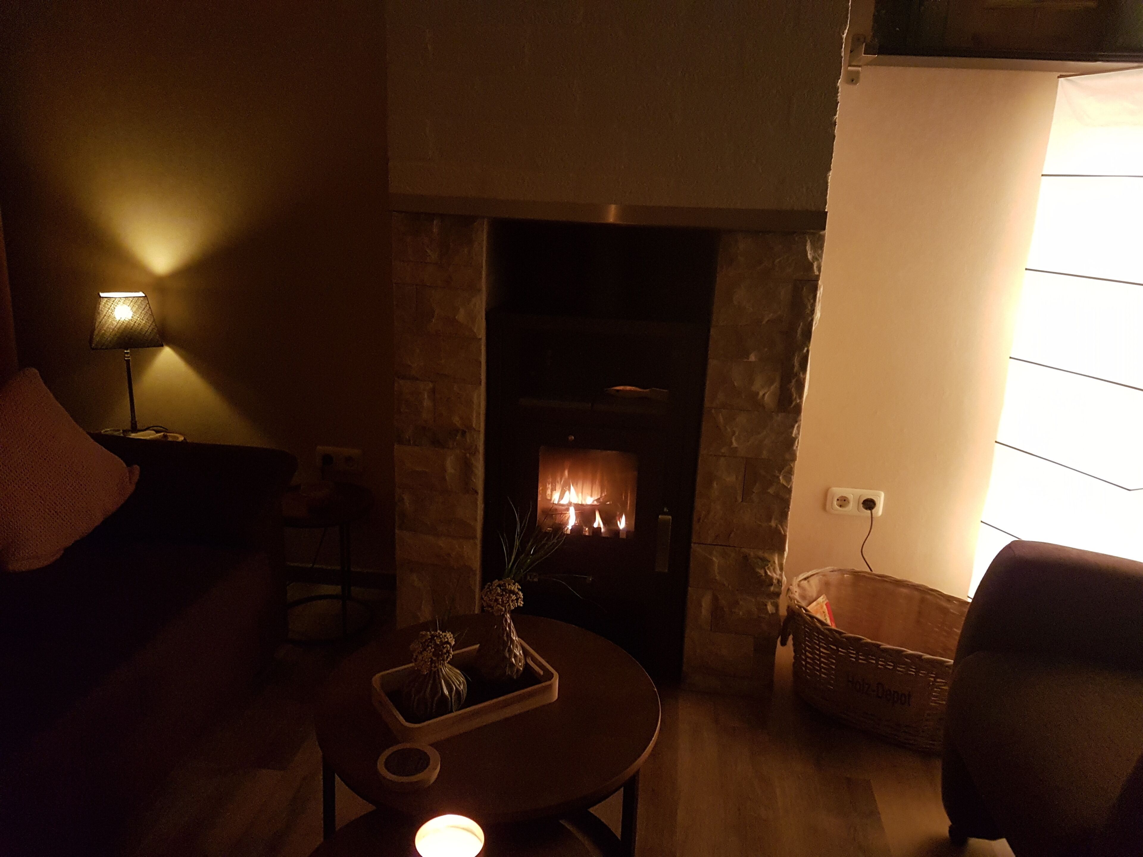 Televisión, chimenea y libros 