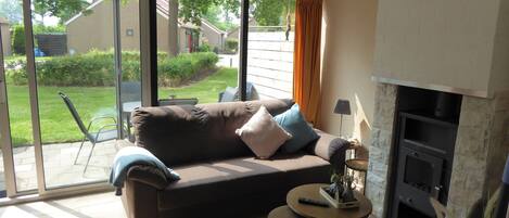 TV, fireplace, books