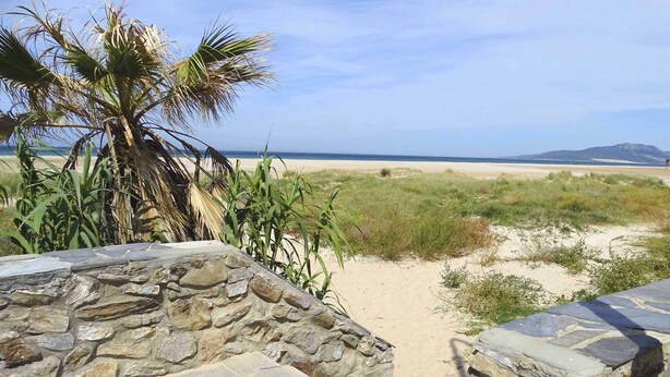 Un muro de piedra que conduce a una playa arenosa, con una palmera y hierba en primer plano.