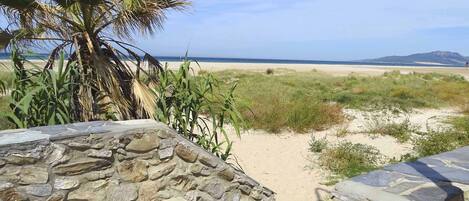 كراسي للتشمس