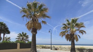 Un camino pavimentado bordeado de palmeras y un farol, que conduce a una playa.